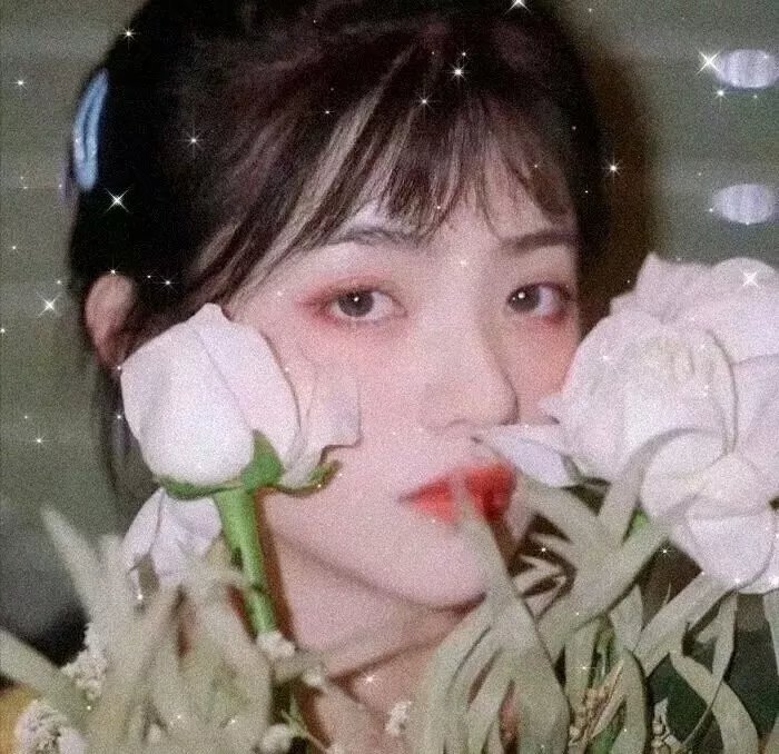 飞燕倾城